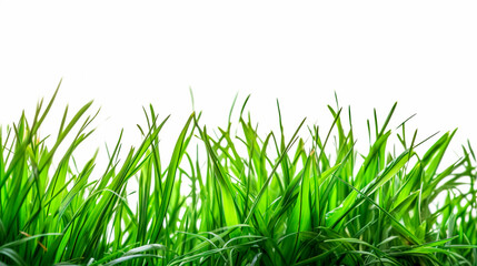 Obraz premium green grass isolated on white. Generative ai
