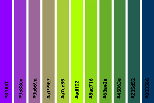 Abstract Colored Palette Guide. Table color shades. Color harmony. Trend colors. Vector illustration EPS 10 File.