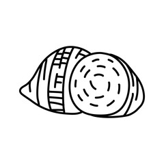 Taro doodle outline icon vector illustration. Hand drawn line sketch of Taro