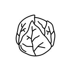 Brussel Sprouts doodle icon. Hand drawn black sketch. Vector Illustration