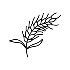 Wheat Ear Handmade vector illustration, sketch. wheat vector sketch illustration