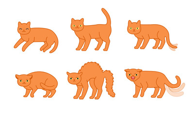 Cat body language behavior signals. Different emotions: frightened focused fearful angry friendly and relaxed. Cute cartoon domestic animals or pet