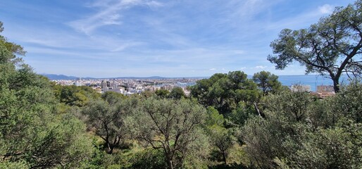 Puerto de Palma de Mallorca top view on port of Mallorca harbour many yachts and boats