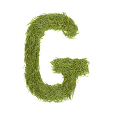 Letter G green font alphabet A-Z letter image in PNG isolated on transparent background