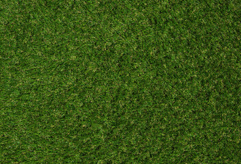 Fototapeta premium Green grass background