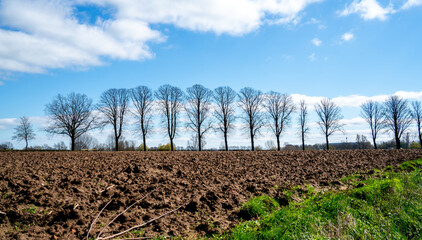 Obraz premium Rural landscape near Bronckhorst, Netherlands 