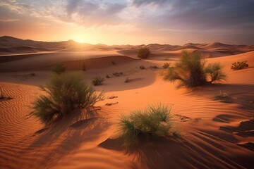 Breathtaking and sheer beauty of the Sahara desert landscape. Sand dunes shaped by the wind, with sparse low vegetation, all set against the backdrop of a stunning sunset. Generative A.I. technology.