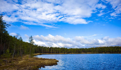 Lake and forest, picturesque landscape