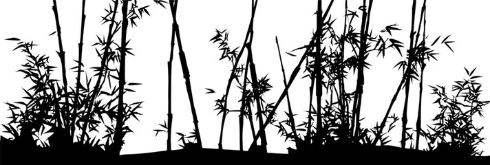 Bamboo forest silhouette. Vector isolated design element