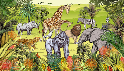 Jungle landscape with wild animals, gorilla, lion, elephant, giraffe, rhinoceros and zebra © Adrian