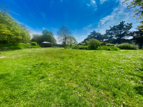 Grass park area on a sunny day