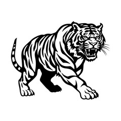 Tiger vector art, isolated in white background, tiger, vector illustration.