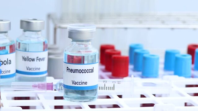 Pneumococcal vaccine in a vial, immunization and treatment of infection