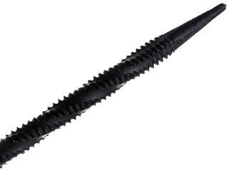 black zipper isolated on white