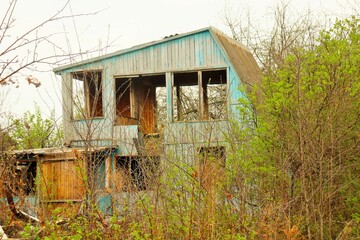 Old abandoned blue wooden house in a thicket of bushes