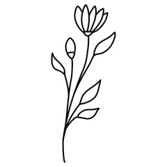 illustration of a flower