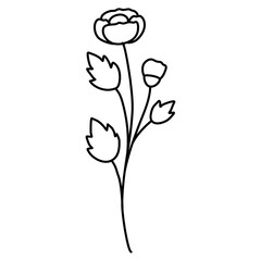 hand drawn flower