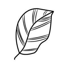 Leaf Lineart