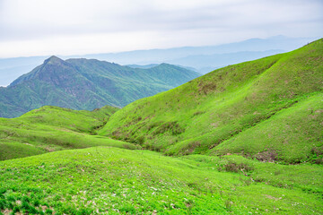 Wugong Mountain, Pingxiang, China, alpine green meadow scenery