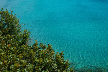 marine panorama with blue sea and Mediterranean maquis