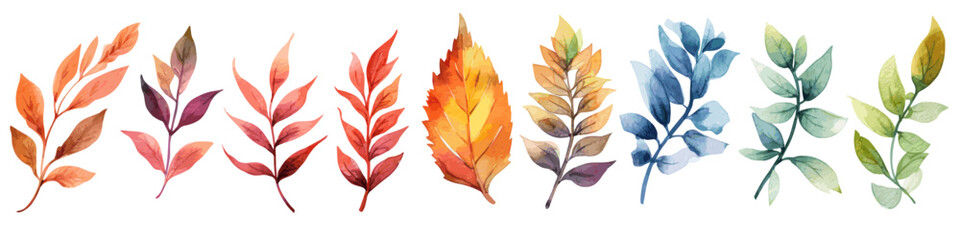 Watercolor Leaf Collection Vector Illustrations of Colorful and Organic Foliage