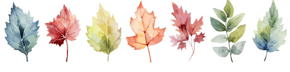 Watercolor Leaf Collection Vector Illustrations of Colorful and Organic Foliage