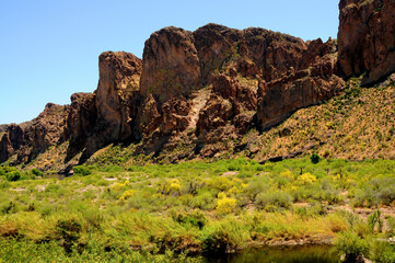 Salt River Recreation Area Arizona