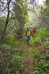Naklejka premium Wanderer unterwegs auf dem Korfu-Trail