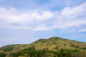 Naklejka premium 青空と緑の山の稜線