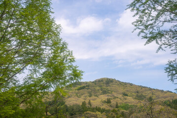 青空と緑の山の稜線