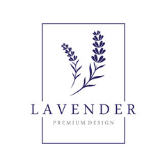 Hand drawn organic lavender flower logo template design.Logo for cosmetic, beauty,tea,oil,herb. © Mujiyono
