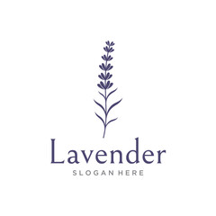 Hand drawn organic lavender flower logo template design.Logo for cosmetic, beauty,tea,oil,herb.