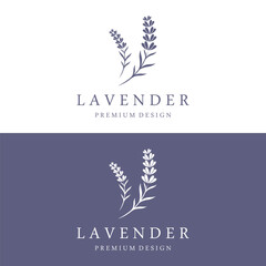 Hand drawn organic lavender flower logo template design.Logo for cosmetic, beauty,tea,oil,herb. © Mujiyono