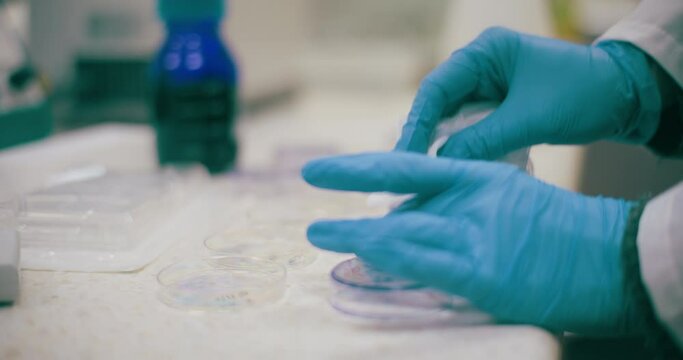 Scientist Working in Medical Laboratory Cancer Research Covic 19 Pandemic