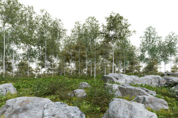 Fototapeta na wymiar Realistic forest floor and trees. 3d rendering of isolated objects.