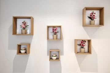 White wall decorated with different size wooden frames containig flowers in pots.