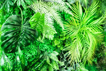 Background of tropical leaves of various plants on a decorative wall.