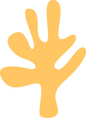 Seaweed Marine Plant