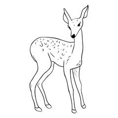 Deer vector icon.  Suitable for animal icon, sign or symbol.