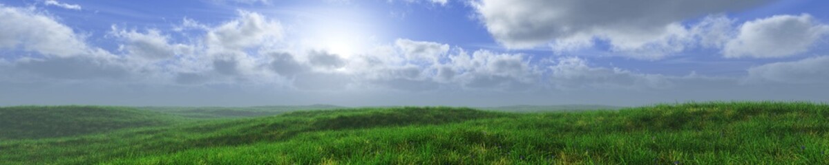 Obraz na płótnie Canvas Green meadow with flowers against a blue sky with sun, Landscape panorama with a meadow, green grass with flowers, 3d rendering