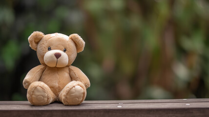 Lonely Teddy Bear: Abandoned Toy Seeking Comfort on a Park Bench