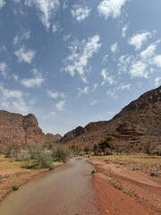 road in the desert