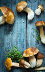 fresh porcini mushrooms in the summer or autumn season; cep mushrooms and spices herbs on a wooden table; Italian recipe - 602989734