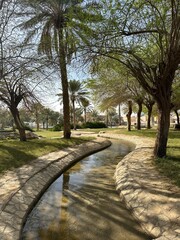 park in the city