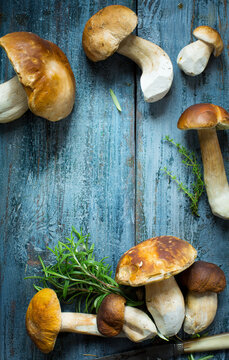 fresh porcini mushrooms in the summer or autumn season; cep mushrooms and spices herbs on a wooden table; Italian recipe