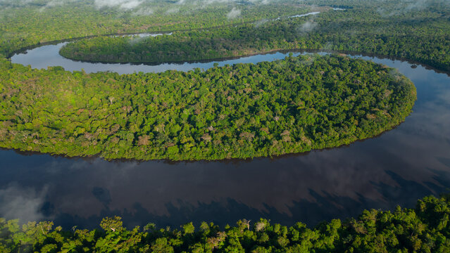 AMAZON RIVERS IN THE PERUVIAN JUNGLE, THEY CLEARLY SHOW THE MEANDERS, THE AMAZON AND THE NANAY ARE IMPORTANT TRIFLUENTS FOR CITIES IN THE PERUVIAN JUNGLE
