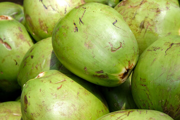 Close up green coconut background. Selective focus of green coconut.