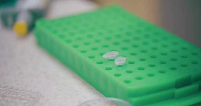 Scientist Working in Medical Laboratory Cancer Research Covic 19 Pandemic