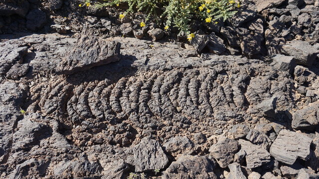 Corded lava close-up in Teide National Park, brown lava texture, geology, volcanic land 