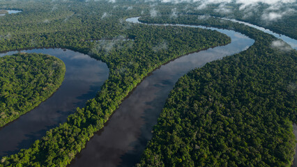 AMAZON RIVERS IN THE PERUVIAN JUNGLE, THEY CLEARLY SHOW THE MEANDERS, THE AMAZON AND THE NANAY ARE...